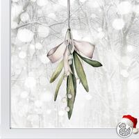 Christmas Mistletoe 